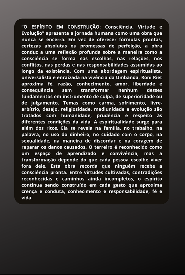 O ESPÍRITO EM CONSTRUÇÃO - Imagem 2
